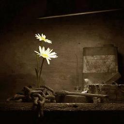 lovelife_06's profile picture. 