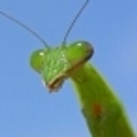 幻奇くん (@genki_gto) 's Twitter Profile