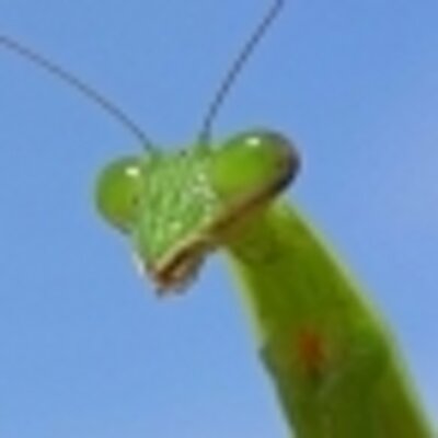 幻奇くん