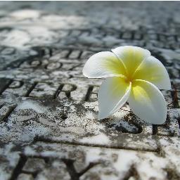 ebruli_oztrk's profile picture. 