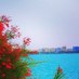 asasqtr (@asasqtr) Twitter profile photo