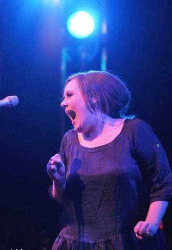 Hi... i love twitter website... Here i found the idols. I'm a big fan of @OfficialAdele... i'm proud of #Daydreamer...