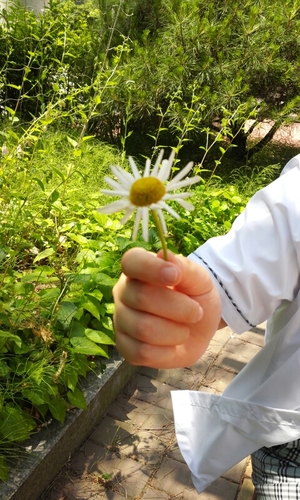 ★☆★☆VIXX★☆★☆