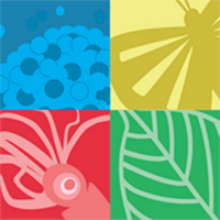 Catalogue of Life (@catalogueoflife) 's Twitter Profile