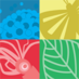 Catalogue of Life (@catalogueoflife) Twitter profile photo Catalogue of Life (@catalogueoflife) Twitter profile photo
