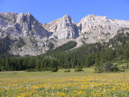 Compte no oficial del Parc Natural del Cadí-Moixeró
Per seguir les notícies del Parc @parcscat i #PNCadíMoixeró