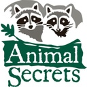 Flora Lee - @FloraLe00566068 - Twitter