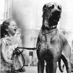 rozg92's profile picture. Sin relevancia