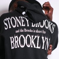 stoney brooks (@stoneybrooks) 's Twitter Profile