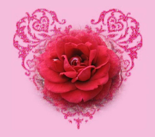 fasl22223@
