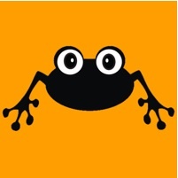 sfrog_studio Profile Picture
