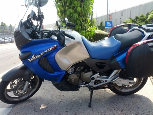 paletooth's profile picture. 