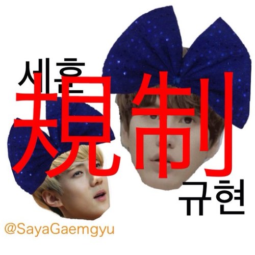 本垢☞@SayaGaemGyu規制中