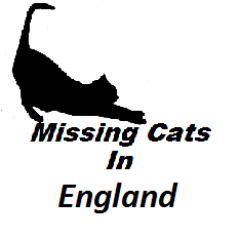 Dedicated to helping people find their lost cats.