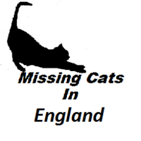 MissingCats England(@lostcatsengland) 's Twitter Profileg