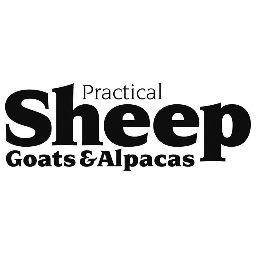 Practical Goats, Sheep and Alpacas is published by Kelsey Magazine and edited by Liz Wright. Launched in April 2013, the mag is quarterly. sga.ed@kelsey.co.uk