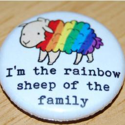 Counsellor for Carers Support and at Women's Aid. I volunteer for Rape Crisis.  I am committed to empowering women and equality.  Proud feminist and veggie