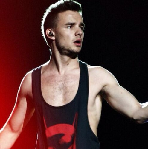 SÍGUENOS EN @babynanarules & @zayncountmein FOLLOW BACK.