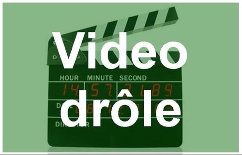 Le but de cette page est de partager avec vous une vidéo drole chaque jour. N'hesités pas à parler de cette page à vos amis et de retweeter les tweets et vidéos