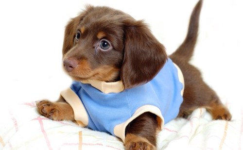 kpxmq530's profile picture. No music No life 
雑貨、カフェ好きなOL男子