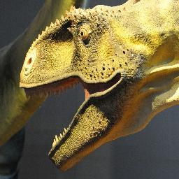 L'actualité du Musée des Dinosaures d'Espéraza