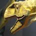 Musée des Dinosaures (@dinosauria11) Twitter profile photo