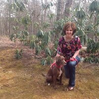 Glenda Glenn - @astrowonderdog Twitter Profile Photo