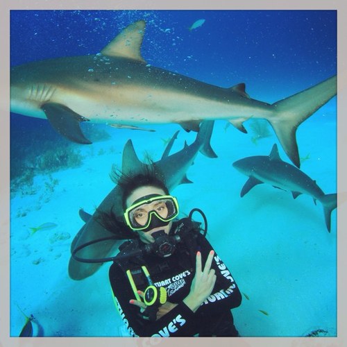 ALETORRES77's profile picture. 