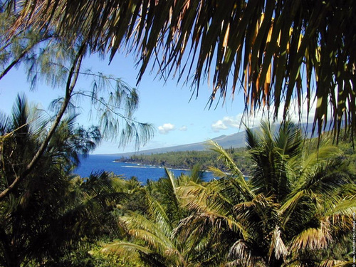 Tout savoir sur l'île de la Réunion 
http://t.co/DWmB2rkfFW