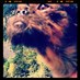 zebulon lael austin (@zebulonlael) Twitter profile photo zebulon lael austin (@zebulonlael) Twitter profile photo