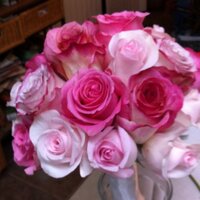 Lori Murach (@lorimurach) 's Twitter Profile