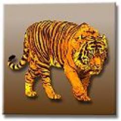 Panther Continental Holding LLC - Panther Continental LLC
EVERYWHERE WHICH HAS GOT MOON AND STAR
Skype: PantherContinental Tel: +49 15147160821