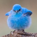 Andy Jamison - @Andy_Jamison - Twitter