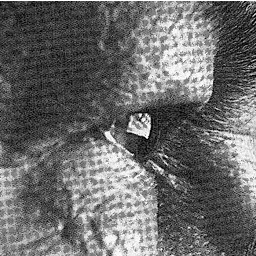 5tobjetivo's profile picture. CONTRIBUIR CON LA PRESERVACIÓN DE LA VIDA EN EL PLANETA Y LA SALVACIÓN DE LA ESPECIE HUMANA