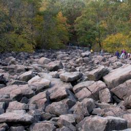 theinsuredNsidr's profile picture. Insurance is a battle of knowledge, the more knowledge you have the better choices and more confidence you can have!