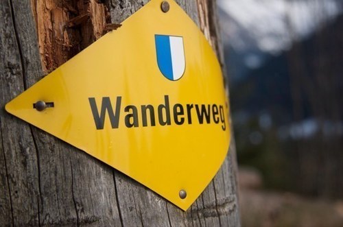 MissRehli's profile picture. RehFänger