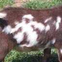 Sarah Tomes - @SarahTea - Twitter