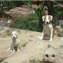 Maritza Carrillo - @MaritzaCarrill7 - Twitter