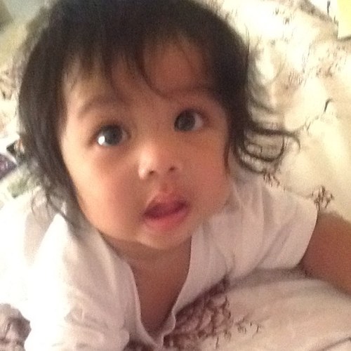 alpai1's profile picture. 