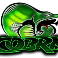Cobra Brushless Motors offer performance and value for the R/C aircraft community. Now the leading motor for FPV racing! Distributed by Innov8tive Designs