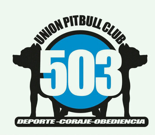 Somos el twitter oficial de este hermosa familia pitbulera