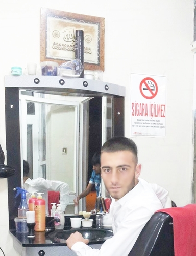 SES SANATÇISI