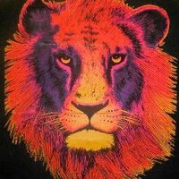The Roaring Lion (@mysticalwarrior) 's Twitter Profile