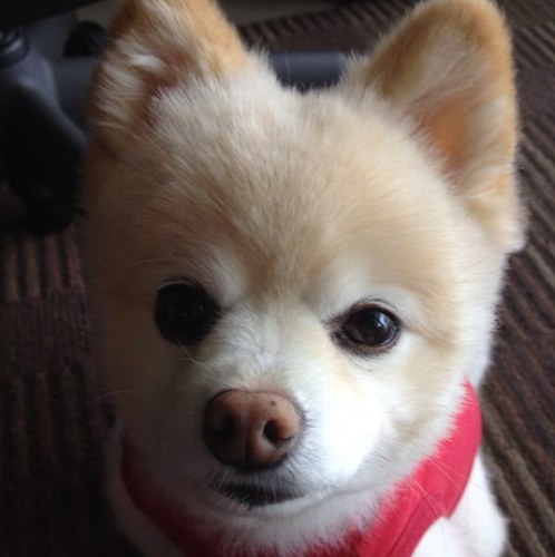 mbarrera26's profile picture. 