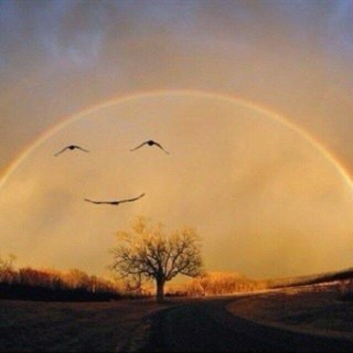 Im here to talk if you need to. Just a dm away.《Ꭶταγ ᎦᎿrφηg》You can walk straight through hell with a smile ~The Script