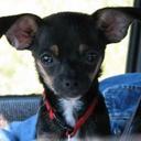 Bruce Houck - @BruHou276 - Twitter