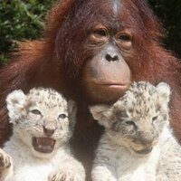 Jeremy Casey (@therealcase) 's Twitter Profile