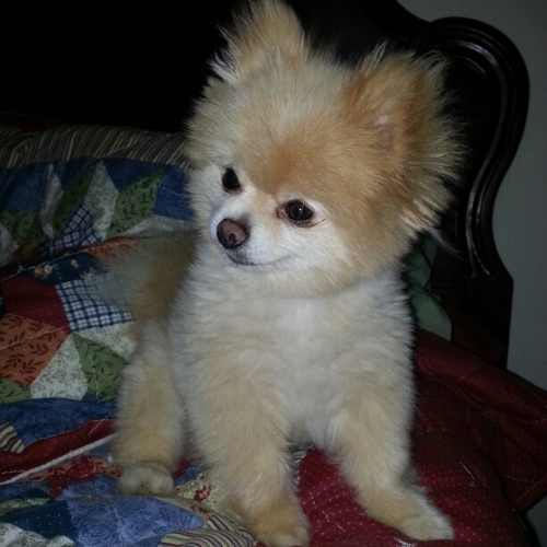 Sir Nigel is my angel ❤Love all the HW shows on Bravo! A news junkie! Random acts of kindness can change the world. ♥ ■dancing