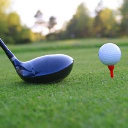 circuitosgolf's profile picture. 