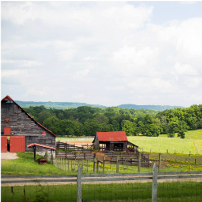 Tap Root Farm (@TapRootFarm) / Twitter